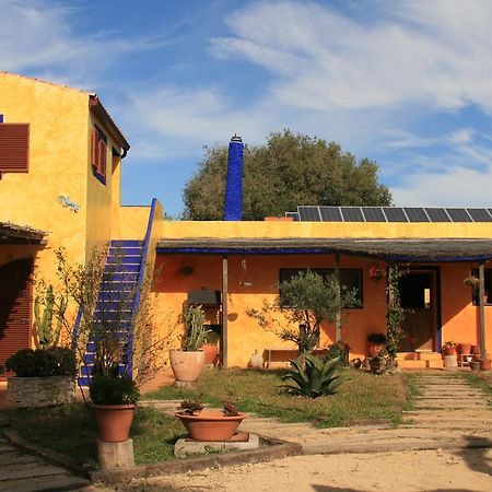 Apartmán El Vuelo De La Libelula Barbate Exteriér fotografie