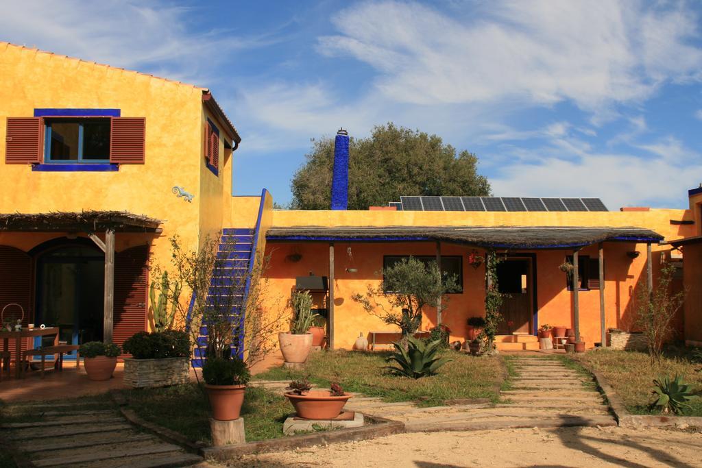Apartmán El Vuelo De La Libelula Barbate Exteriér fotografie